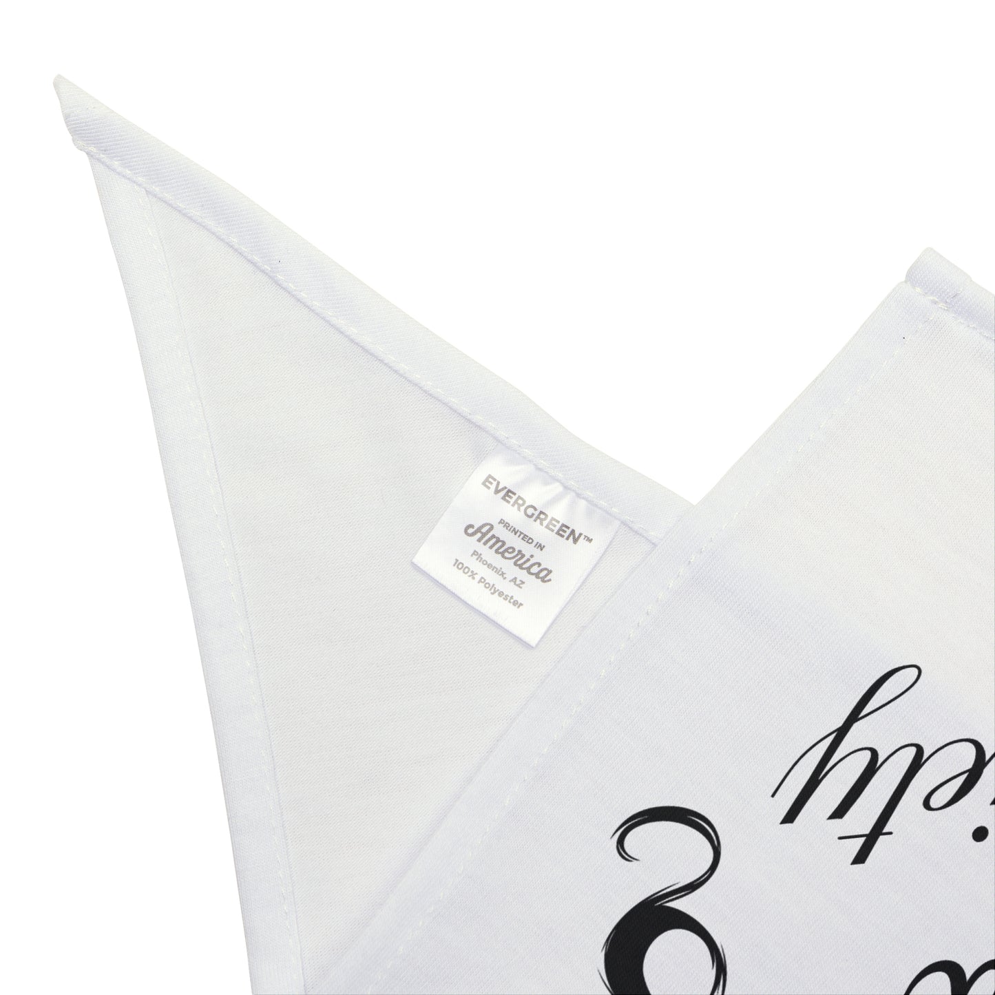 Tabby Cat Society Pet Bandana