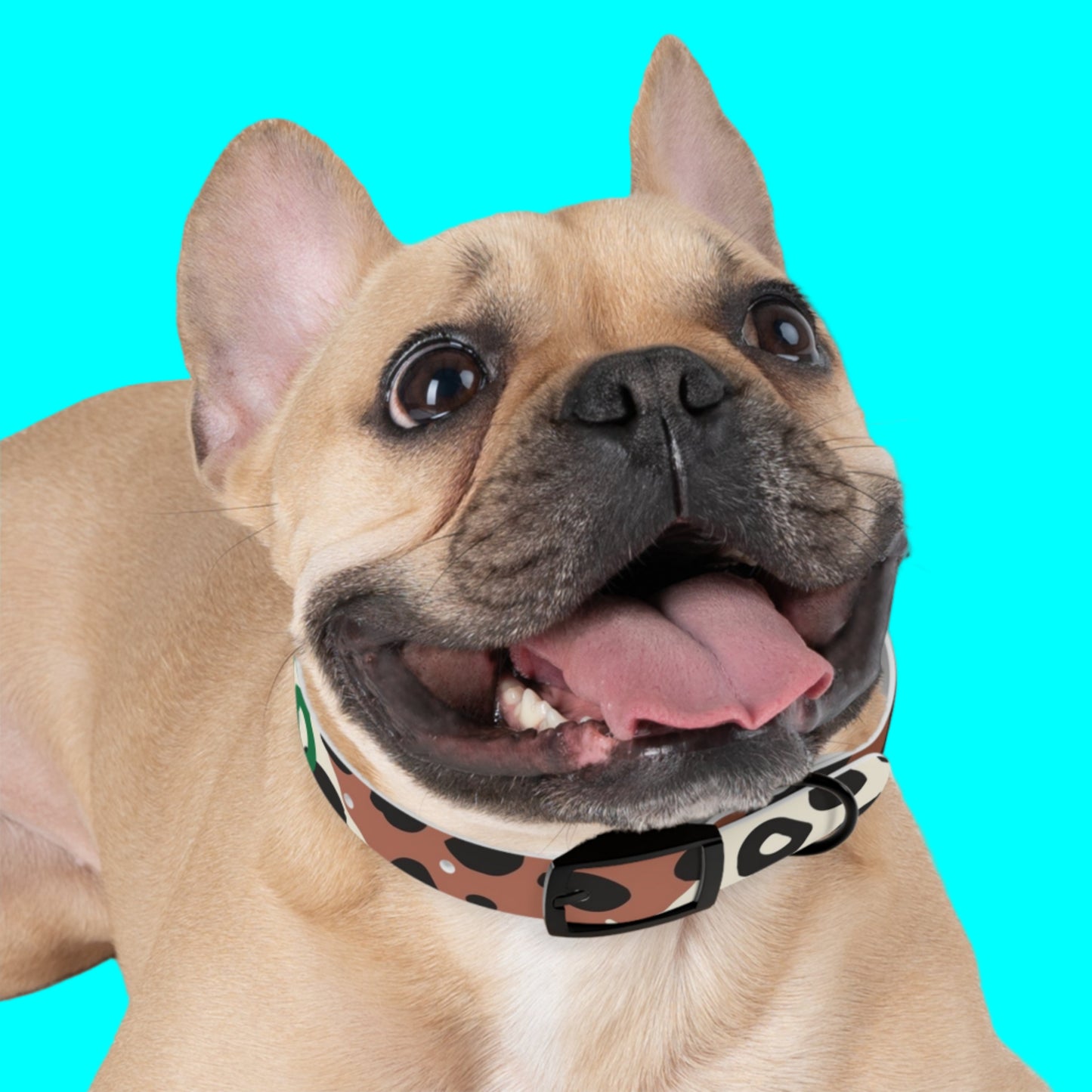 Stylish Dog Collar