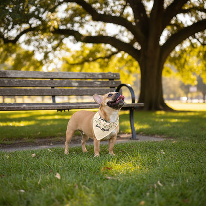 Pet Bandana