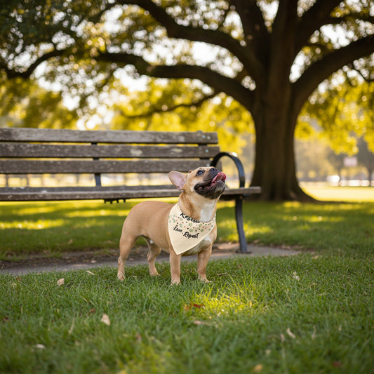 Pet Bandana