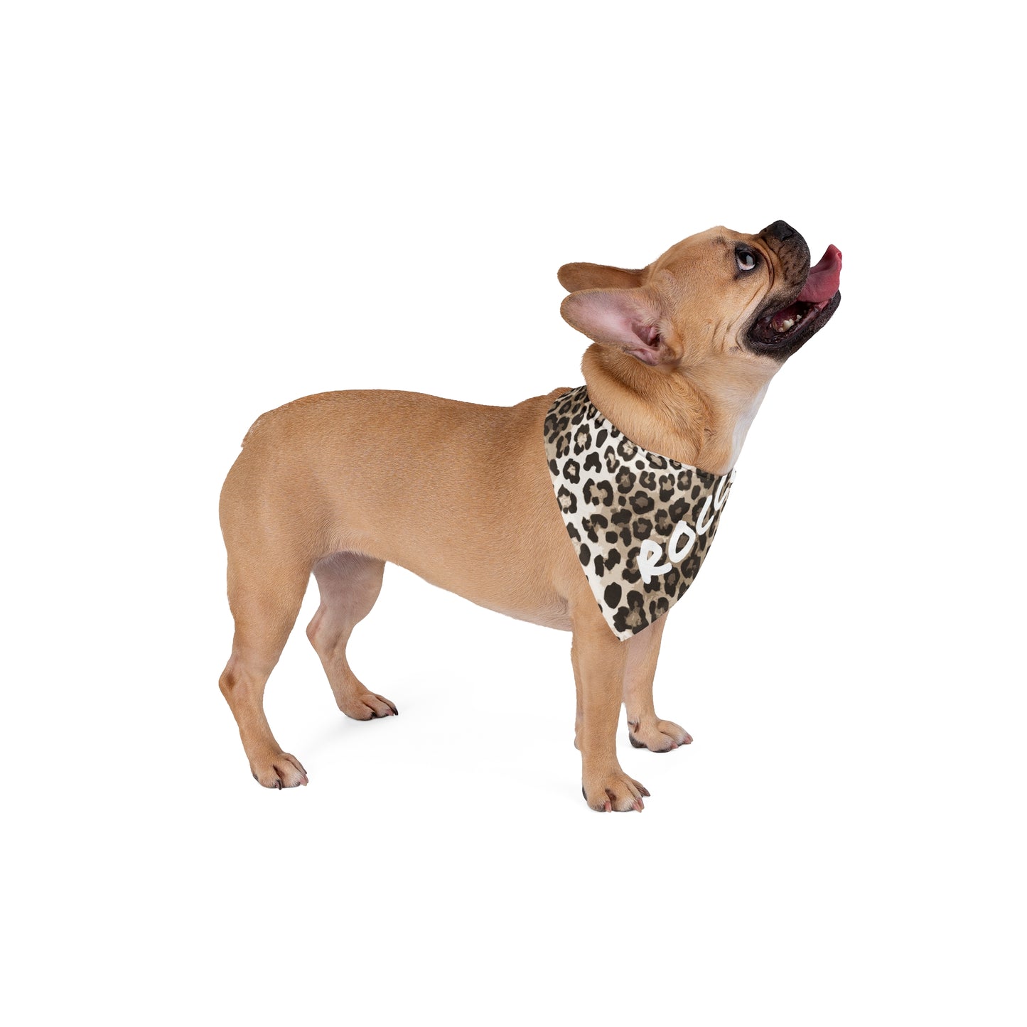 Personalise Pet Bandana